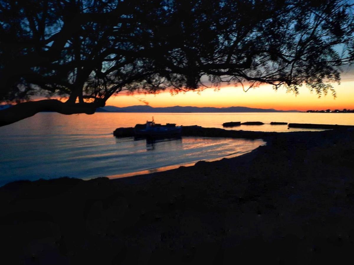 Elegant New Maisonette Near The Sea Aegina Екстериор снимка